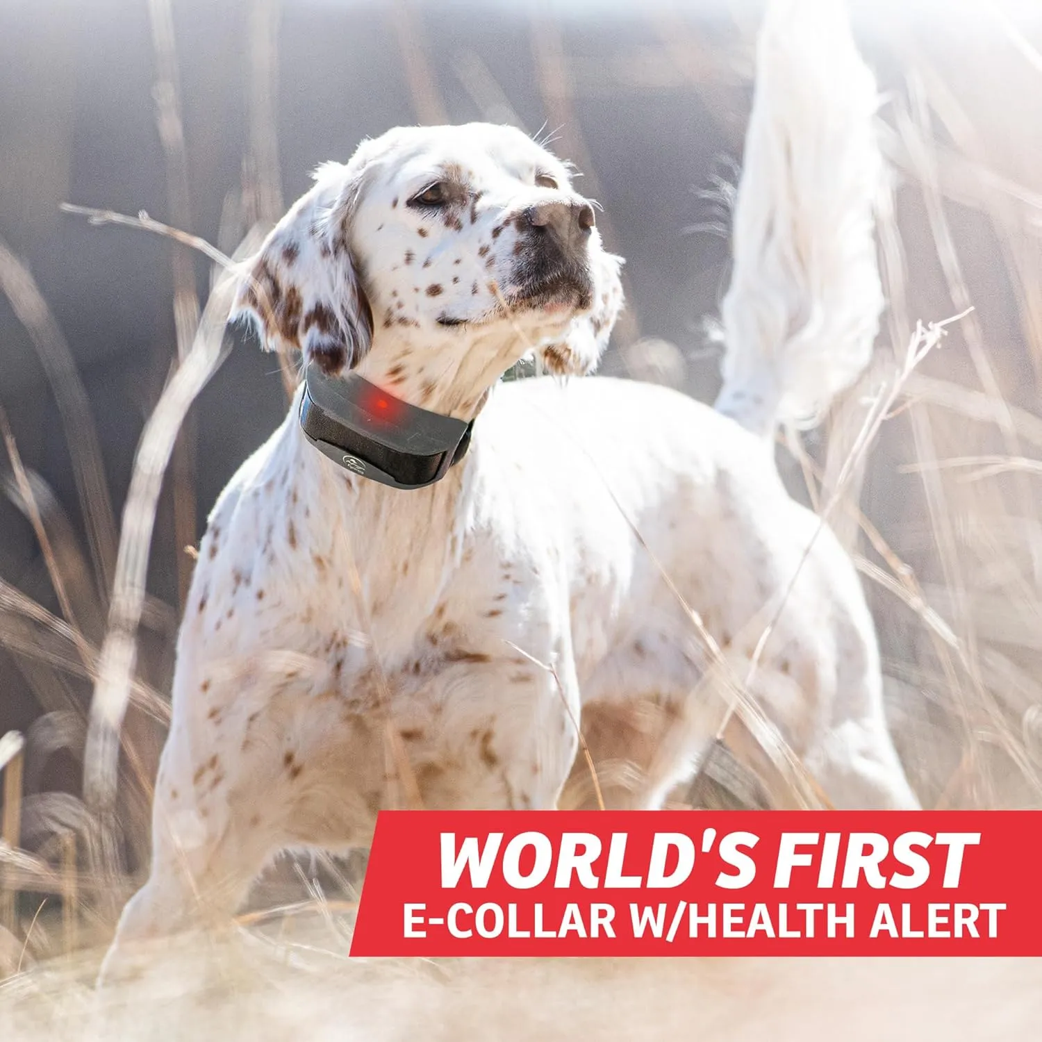 SportDOG Brand FieldSentinel 1825 Remote Trainer with Bodyguard Health Alerts – World’s First Dog E-Collar with Health Monitoring – Train with Static, Vibrate, and Tone – 1 Mile Range