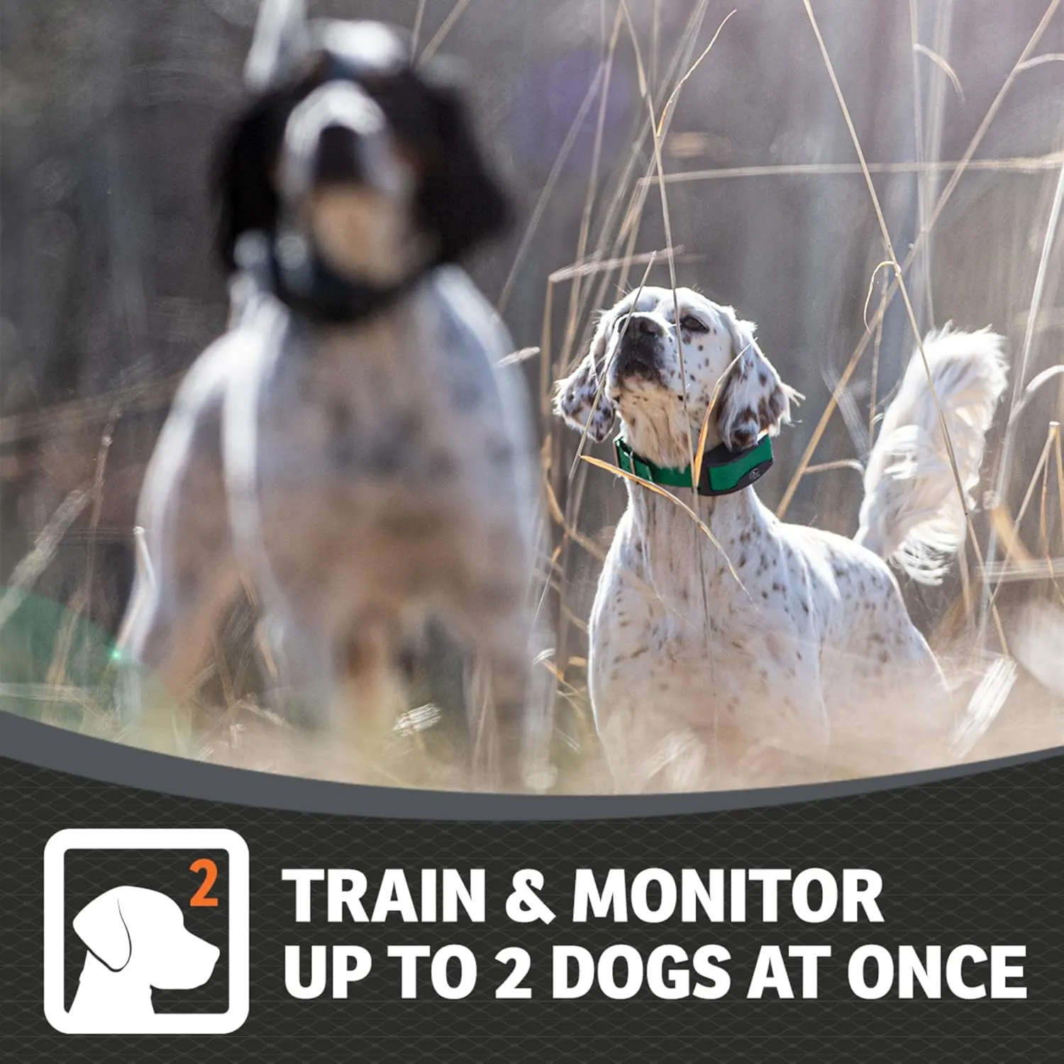 SportDOG Brand FieldSentinel 1825 Remote Trainer with Bodyguard Health Alerts – World’s First Dog E-Collar with Health Monitoring – Train with Static, Vibrate, and Tone – 1 Mile Range