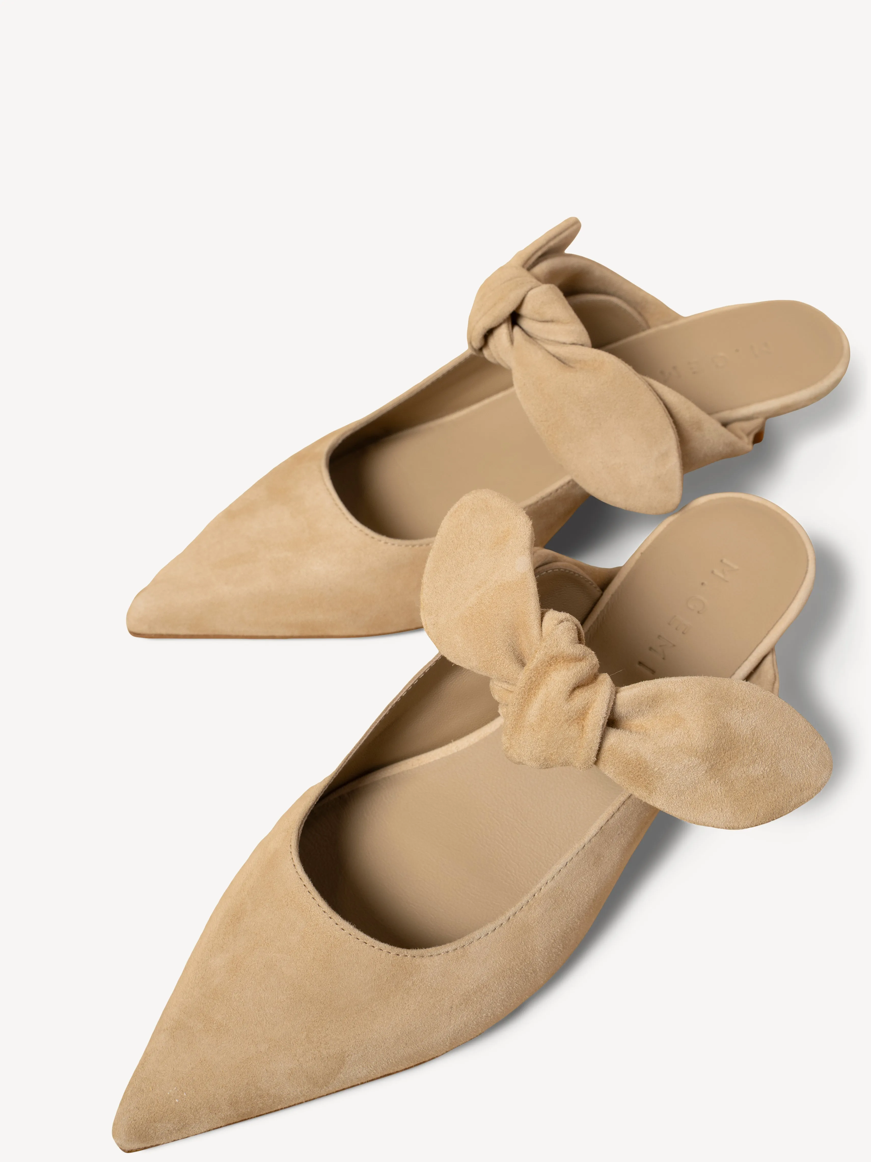 The Lasso (Sample Sale)