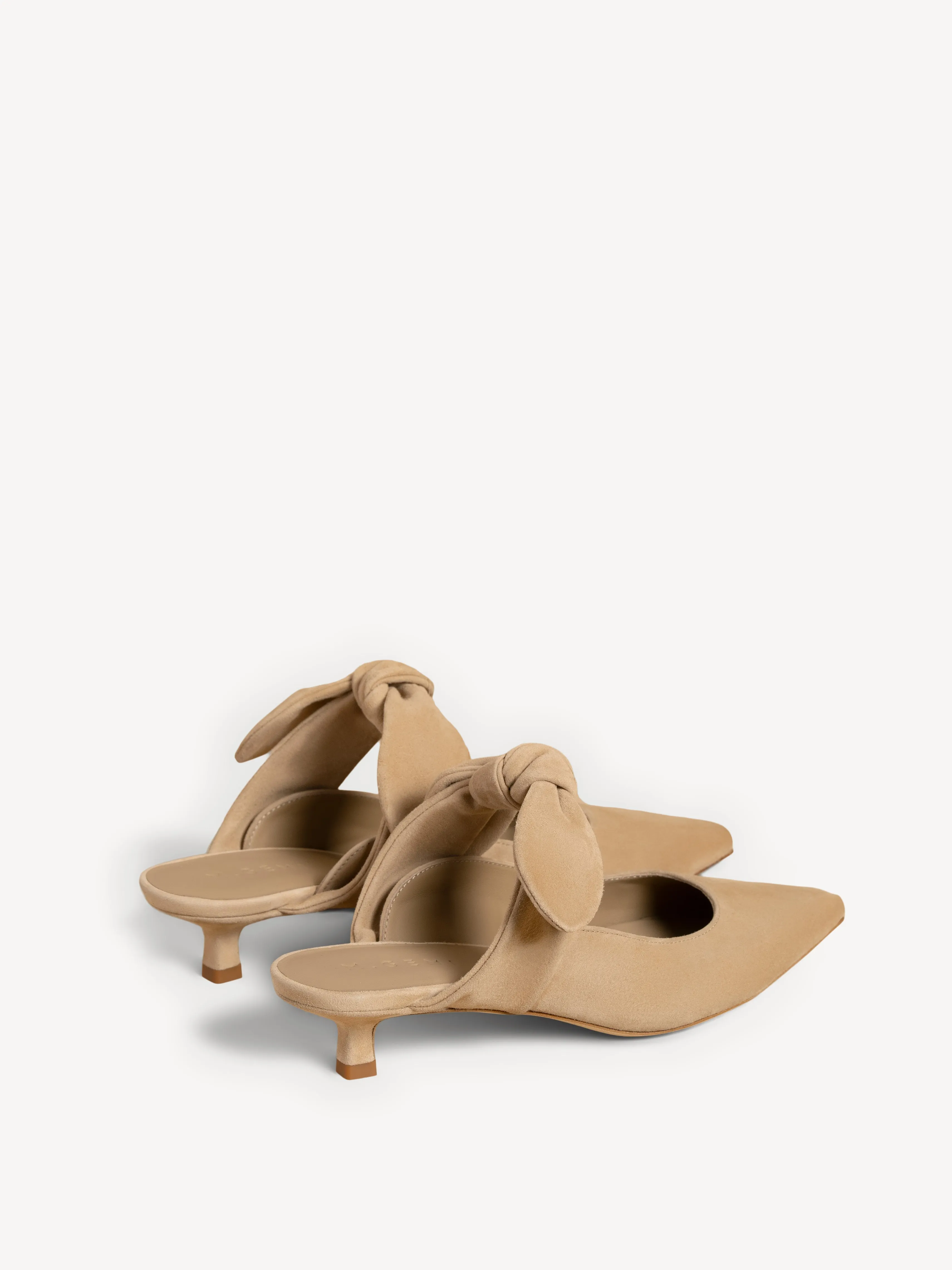 The Lasso (Sample Sale)