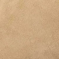 The Lasso (Sample Sale)